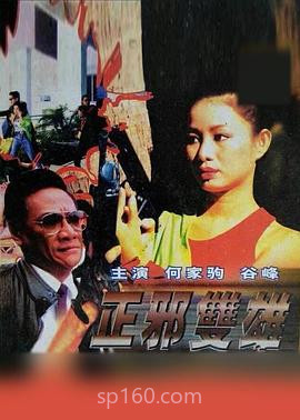 正邪双雄